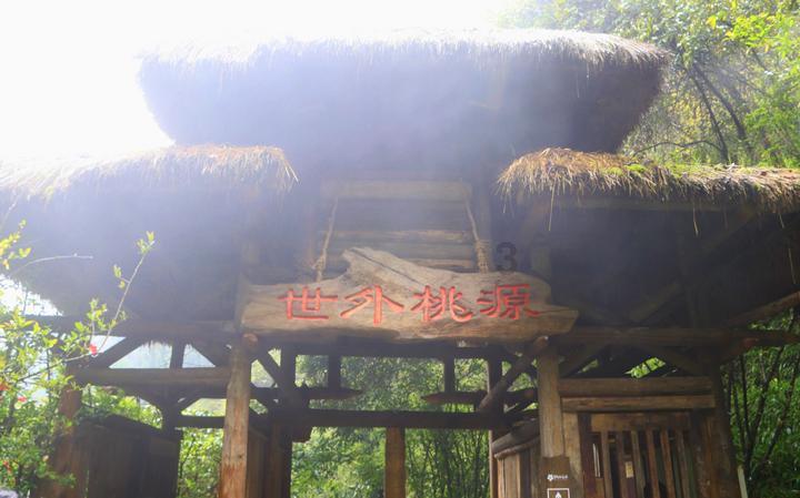 美德信用在羊里 爱心捐款暖泉城 济南市莱芜区羊里街道开展捐款献爱心活动
